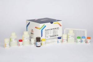 پیشتاز طب / hpylori / iga 